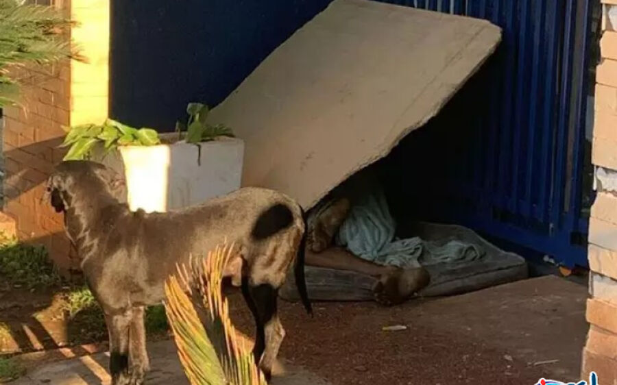 Morador de rua suspeito de furtos é executado enquanto dormia na fronteira 