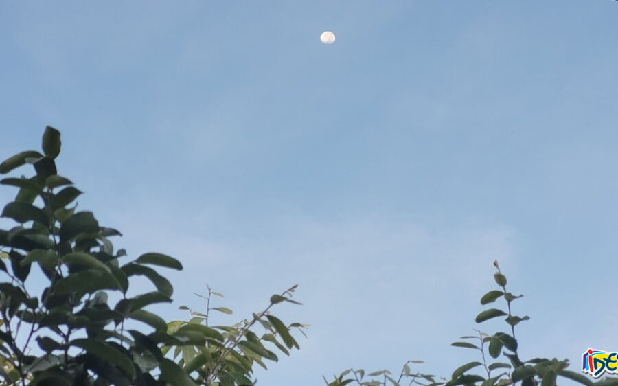 Quarta-feira será seca e com muito sol em Mato Grosso do Sul, aponta previsão do tempo