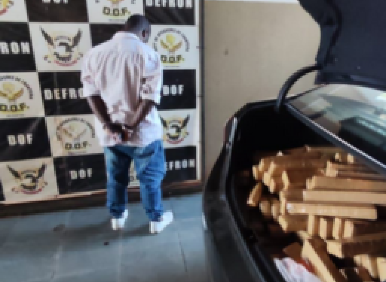 Polícia apreende mais de R$ 540 mil de maconha que vinha de SP para MS
