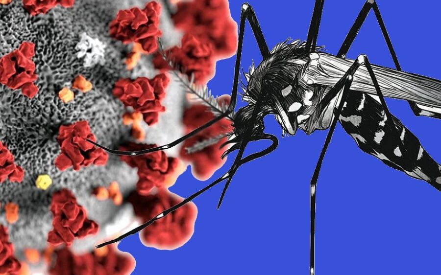 Novos 20 mil casos de  dengue foram notificados em MS
