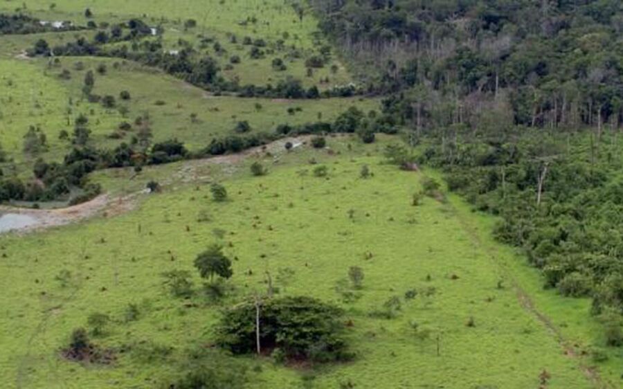 Proprietário rural pode emitir Certificado de Cadastro de Imóvel