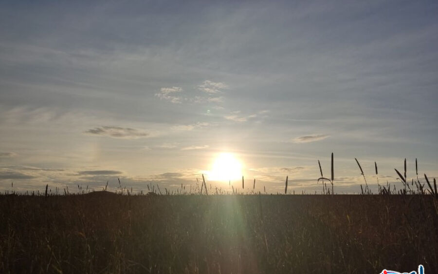 O inverno completa um mês nesta quinta-feira e a temperatura pode chegar aos 36ºC em MS