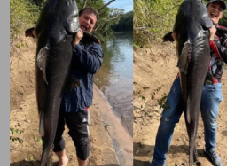 Pai e filho pescam juntos peixe de 1,65m e 60 kg em rio de MS: Emoção indescritível