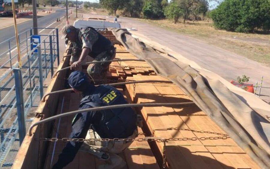 PMA autua transportadora com  carga ilegal de madeira apreendida pela PRF em Coxim