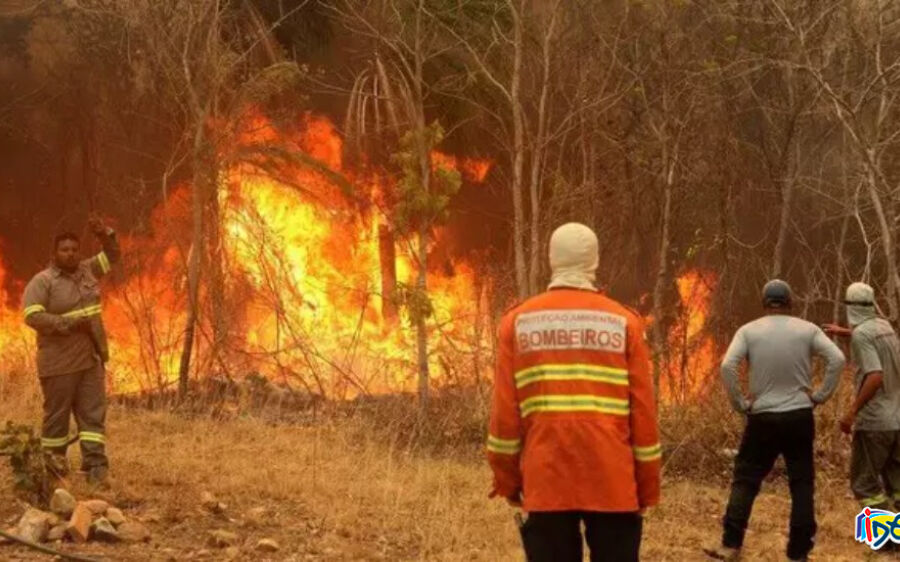 Destruição por incêndios no Pantanal cresce em 2022 e seca deve piorar situação