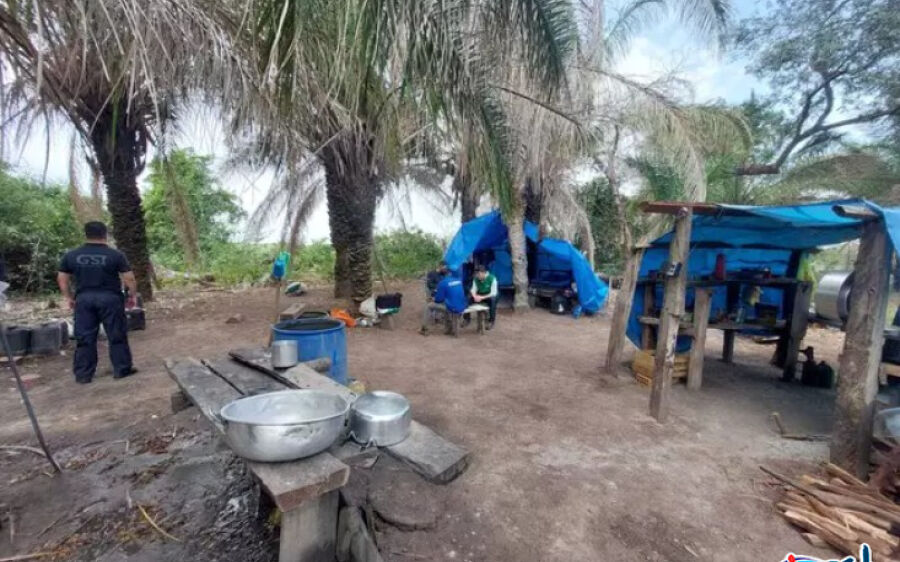 Neste ano, 72 trabalhadores foram resgatados em situação de escravidão em MS