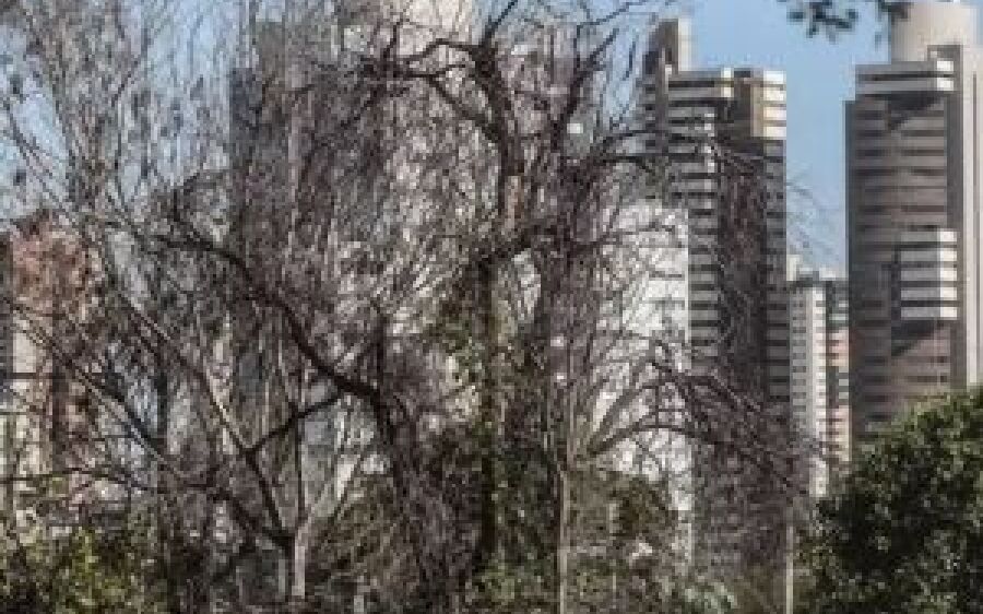 Inverno em MS deverá ter só frentes frias leves nas próximas semanas