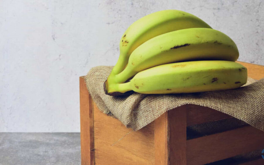 Bananas verdes podem ajudar a reduzir o risco de vários tipos de câncer 