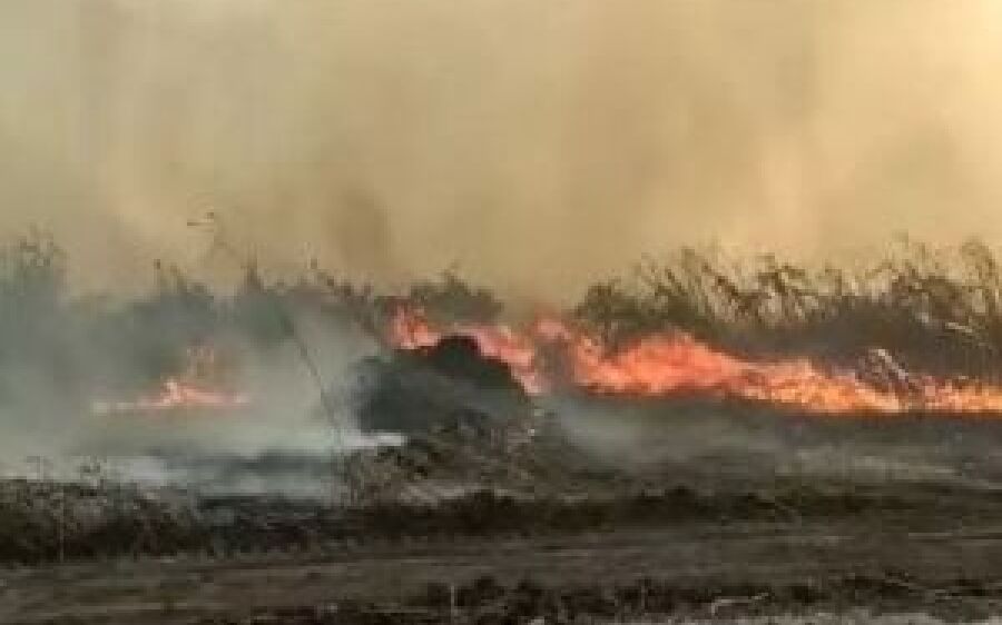 Incêndio em área mais preservada da Serra do Amolar mobiliza militares no Pantanal de MS