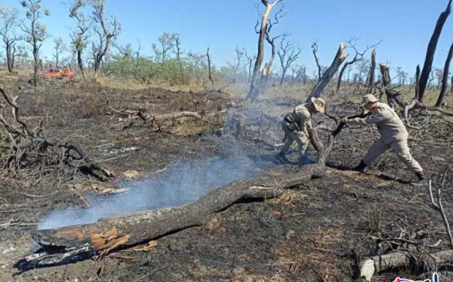 União acata decreto de emergência de incêndios florestais em MS 