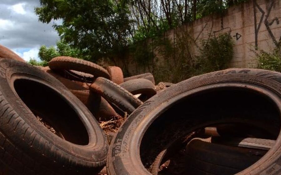 Mato Grosso do Sul é o oitavo estado do País com maior incidência de dengue