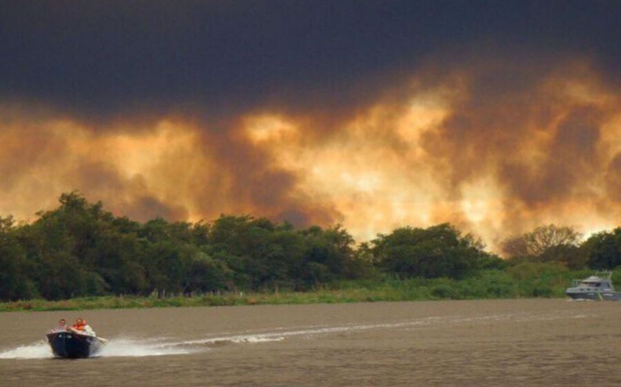 Cerrado de MS teve redução de 74% em áreas queimadas neste ano