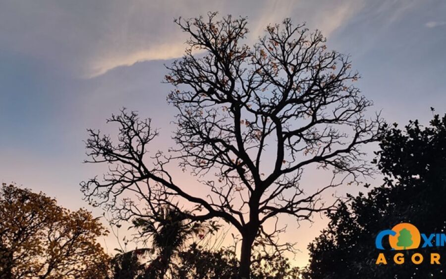 Mínima de 17ºC e máxima de 35ºC nesta segunda-feira em Coxim, segundo Inmet