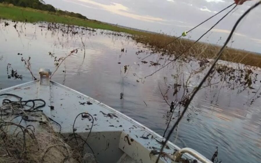 Operação Pesca Legal recolhe 2 mil metros de redes e solta 40 kg de peixe em 72h