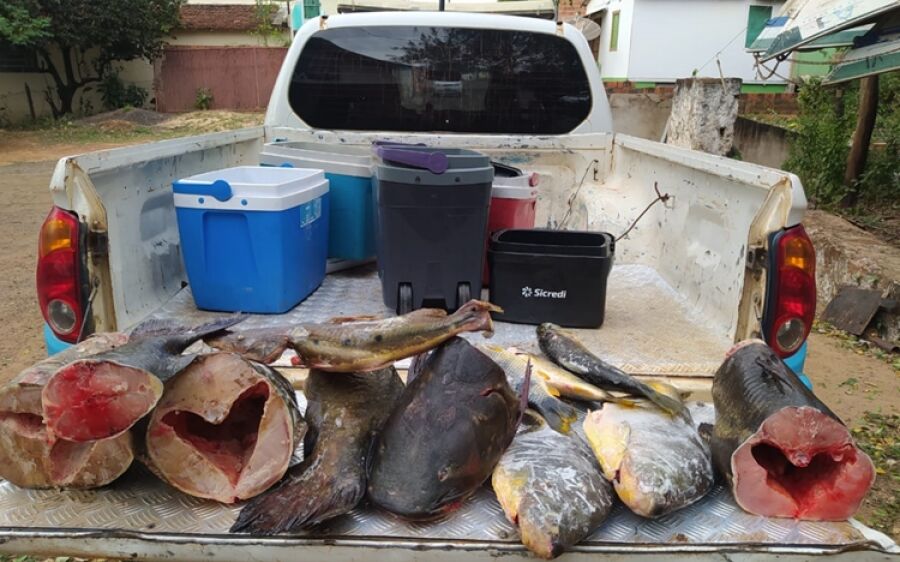 PMA autua 53 pescadores e  apreende 269 kg de pescado  durante A operação Pesca Legal