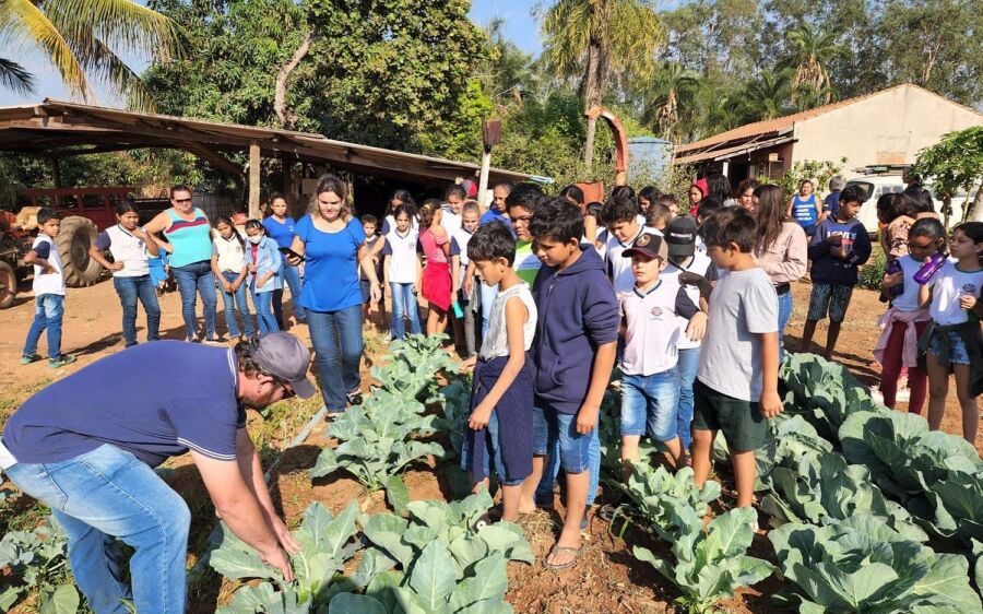 Por meio do projeto Recicla Verdinho, alunos da Rede Municipal visitam hortas 