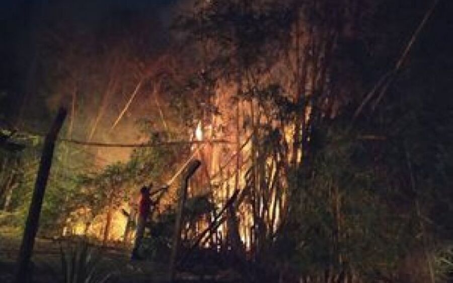 Bombeiros combatem incêndio em área de mata em Aquidauana