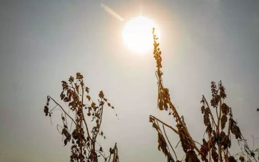 Municípios de MS estão em alerta para umidade em nível de deserto