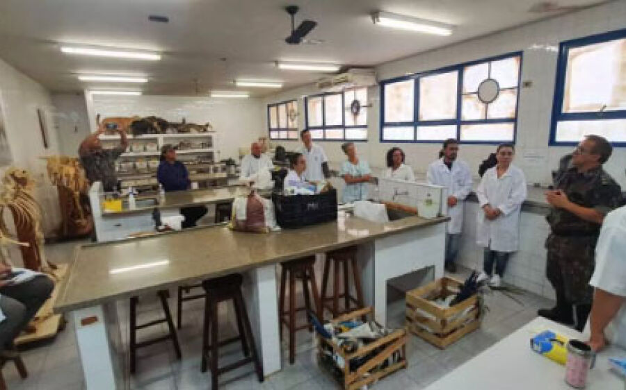 PMA e UEMS iniciam curso de taxidermia de animais silvestres e educação ambiental