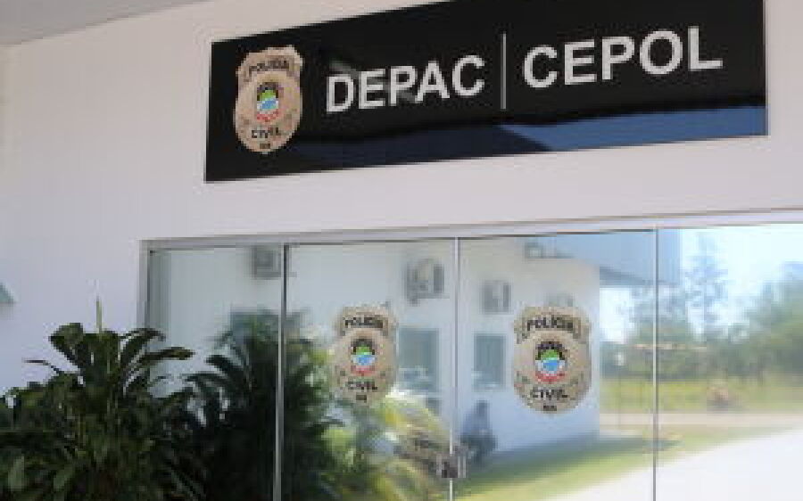 Polícia pende dono e resgata pitbulls que, com fome, chegaram a comer outro cão