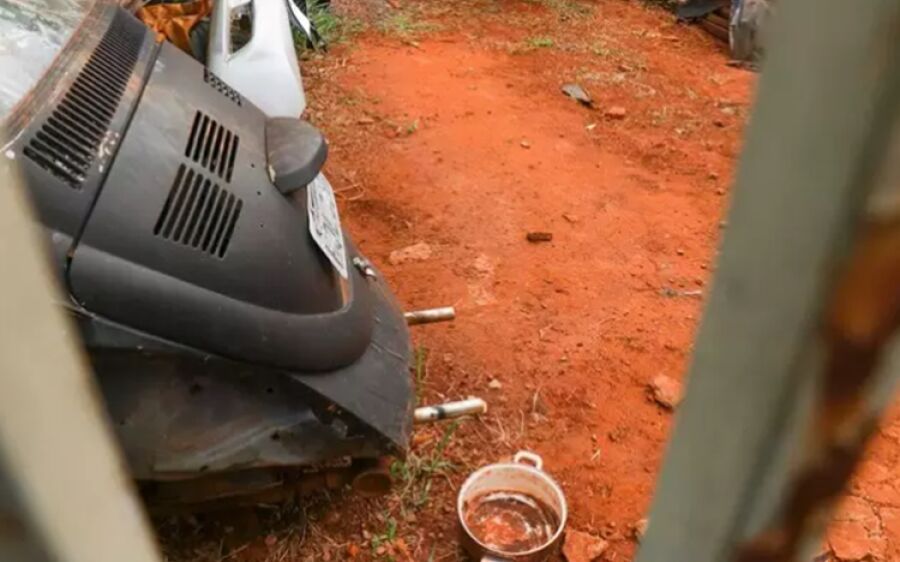 Polícia prende dono e resgata pitbulls que, com fome, chegaram a comer outro cão