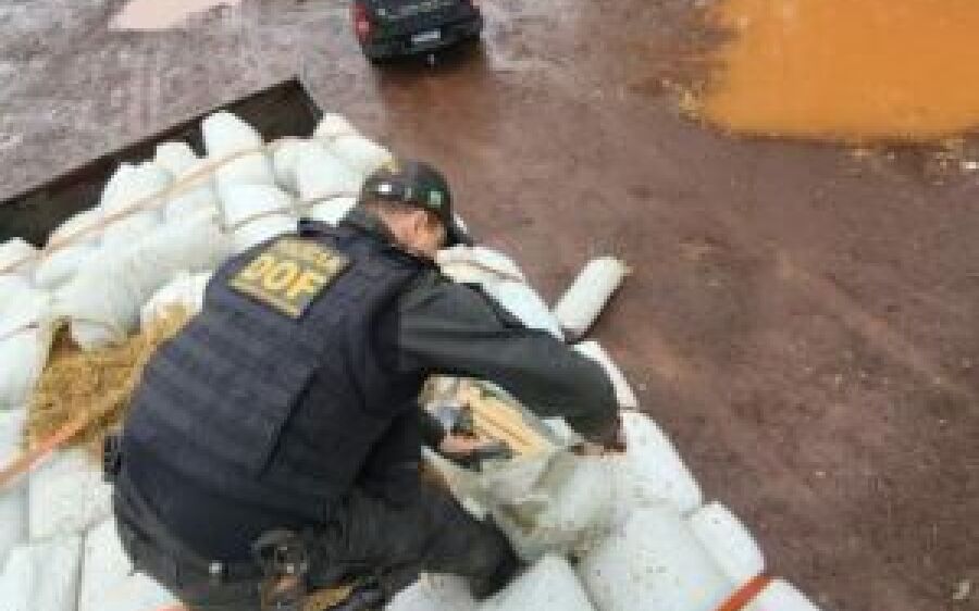 Mais de três toneladas de maconha são apreendidas em carga de feno