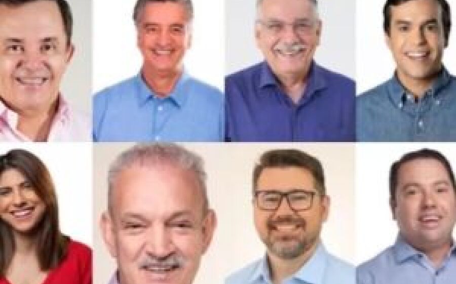 4 deputados federais são reeleitos e 4 são eleitos para representar MS na Câmara