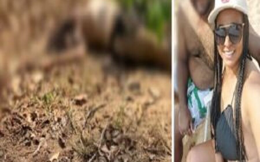 Homem mata esposa e confessa o crime em áudio enviado para familiares no MT