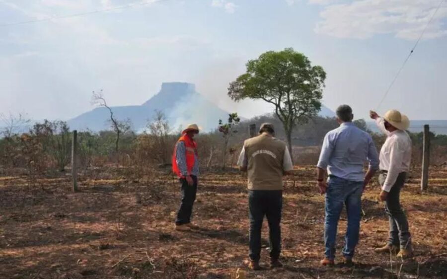 Preservação do Pantanal depende Amazônia e Cerrado, diz pesquisador