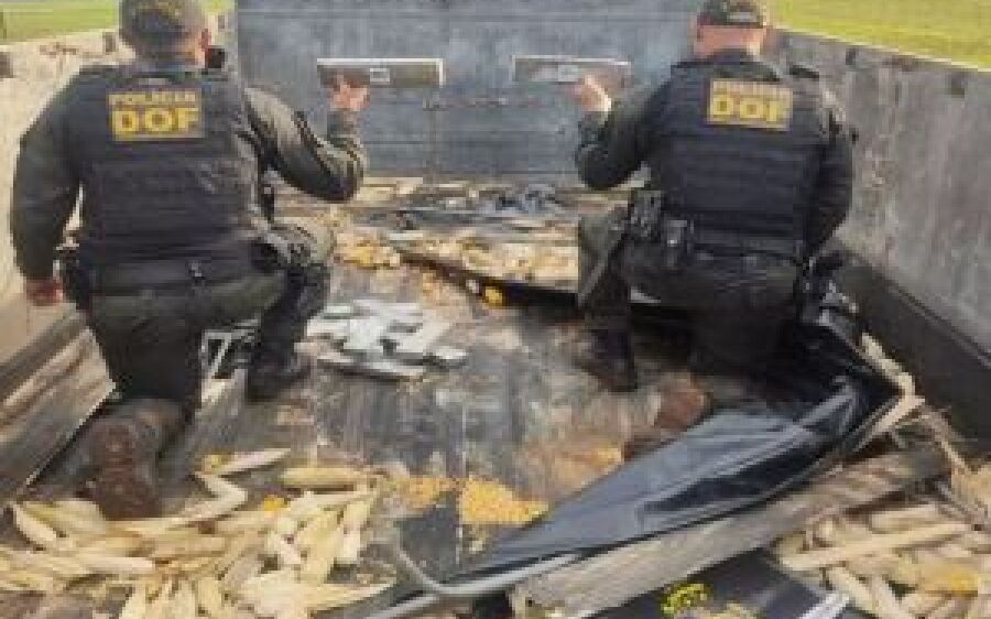 Traficante é preso com R$ 2 milhões de maconha em fundo falso de caminhão