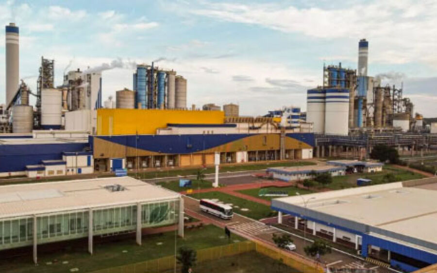 Inscrições para vagas de estágio de empresa de celulose em MS terminam nesta quarta-feira