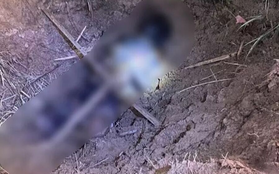 Enquanto soltavam pipa, crianças encontram corpo carbonizado em cidade de MS