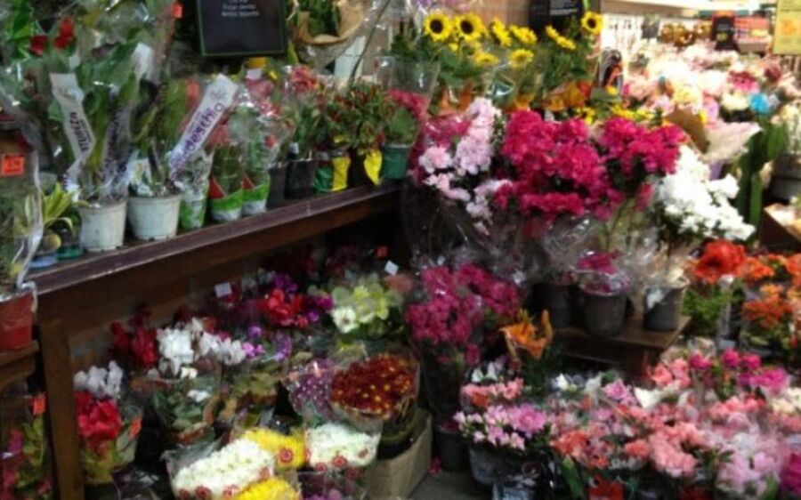 Pesquisa do Procon Estadual para Dia dos Finados detecta variação de até 500% nos preços das flores