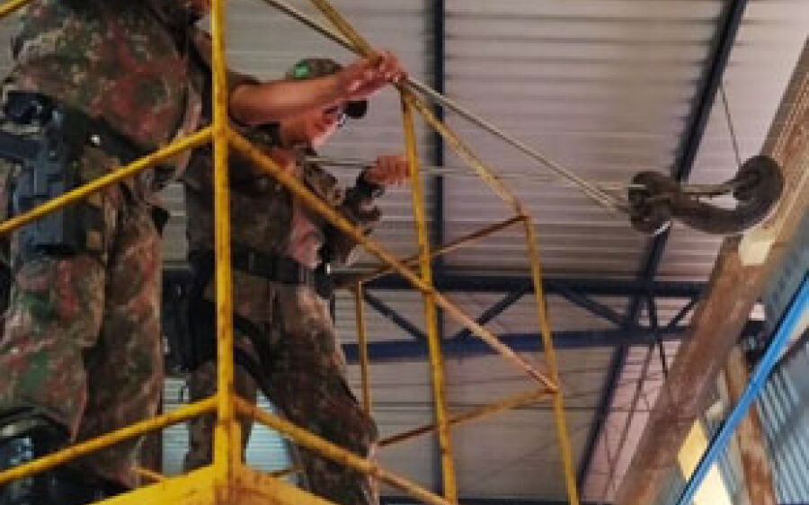 Jiboia com mais de 2 metros é capturada no teto de  empresa em MS