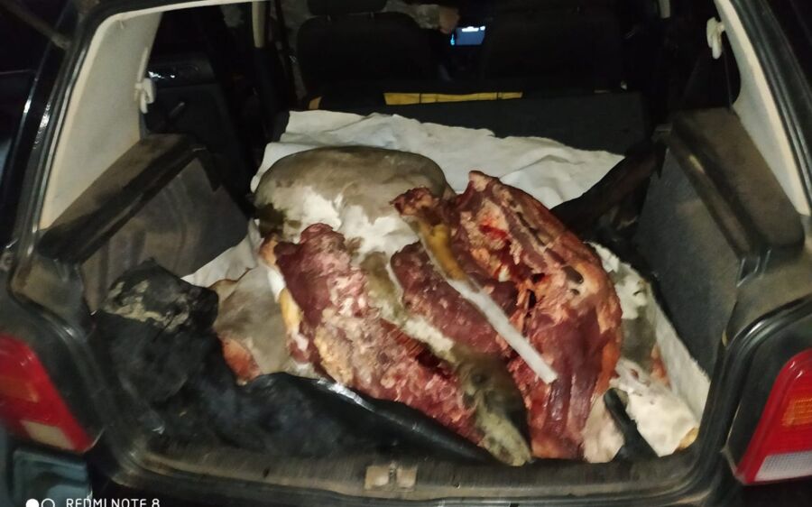 PMA de Coxim prende pai e filho por furto de gado no Pantanal