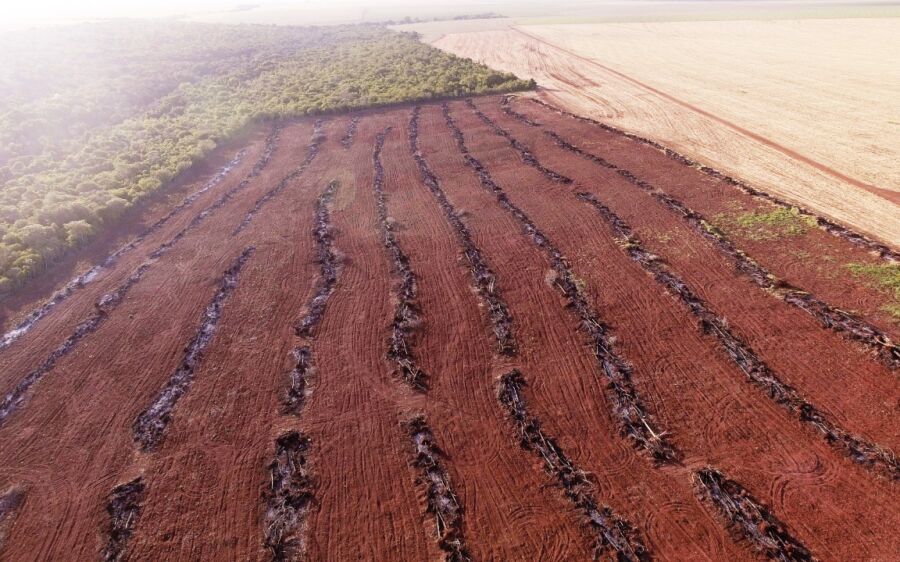 PMA autua fazendeiro por incêndio de vegetação em leiras no período proibido em São Gabriel