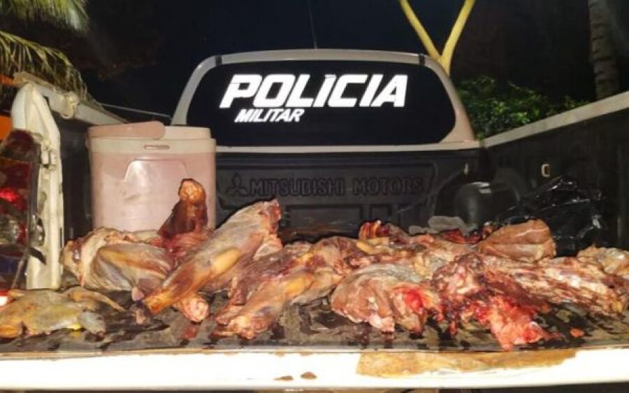 PMA prende e autua dois com carne de caça e apreende veículo com aves e mamíferos abatidos 