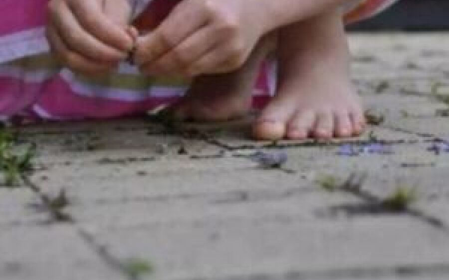 Doces e R$ 2: menina de 4 anos conta para irmã que era estuprada por idoso