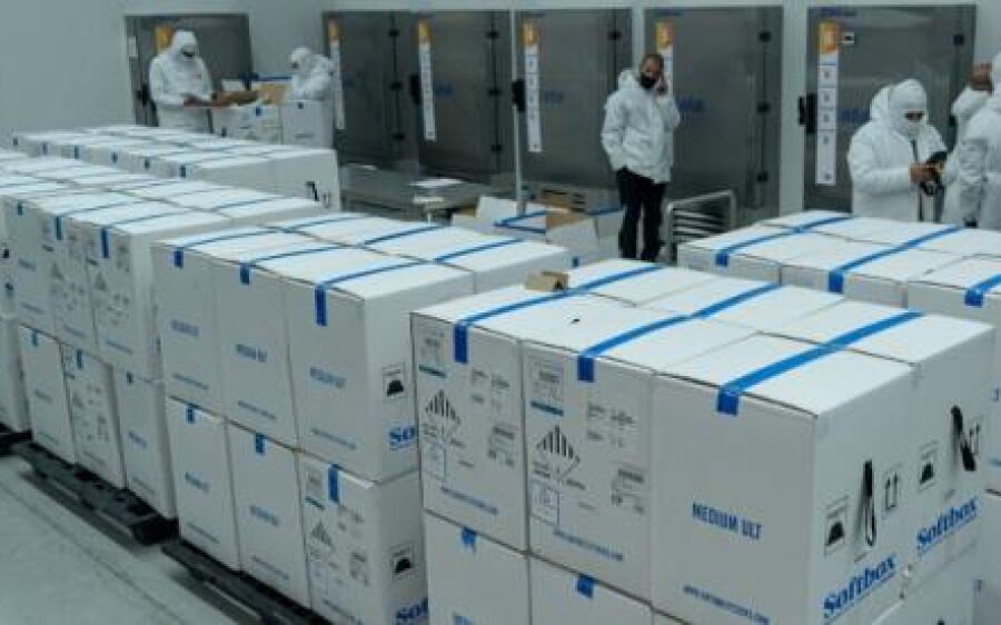 Vacina bivalente Covid-19 deve chegar ao Brasil no começo de dezembro