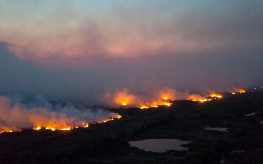 Queimadas no Pantanal reduziram 83% neste ano em relação a 2021