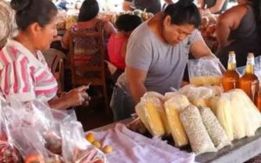MS é o 5° estado com maior participação de indígenas entre os produtores
