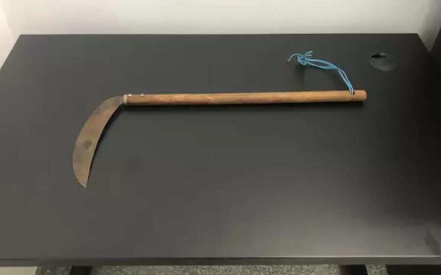 Por WhatsApp, Idosa pede ajuda à filha em SP e agressor é preso em MS