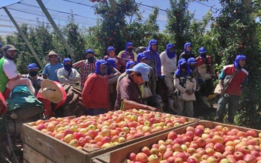 Semana começa com 4 mil vagas de trabalho em Mato Grosso do Sul