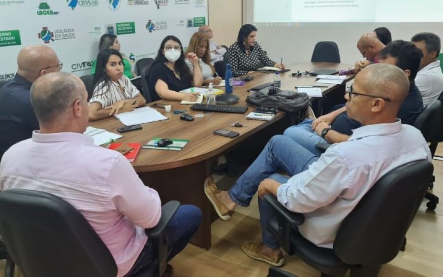 Comitê técnico define estratégias para ações de combate à dengue em 2023