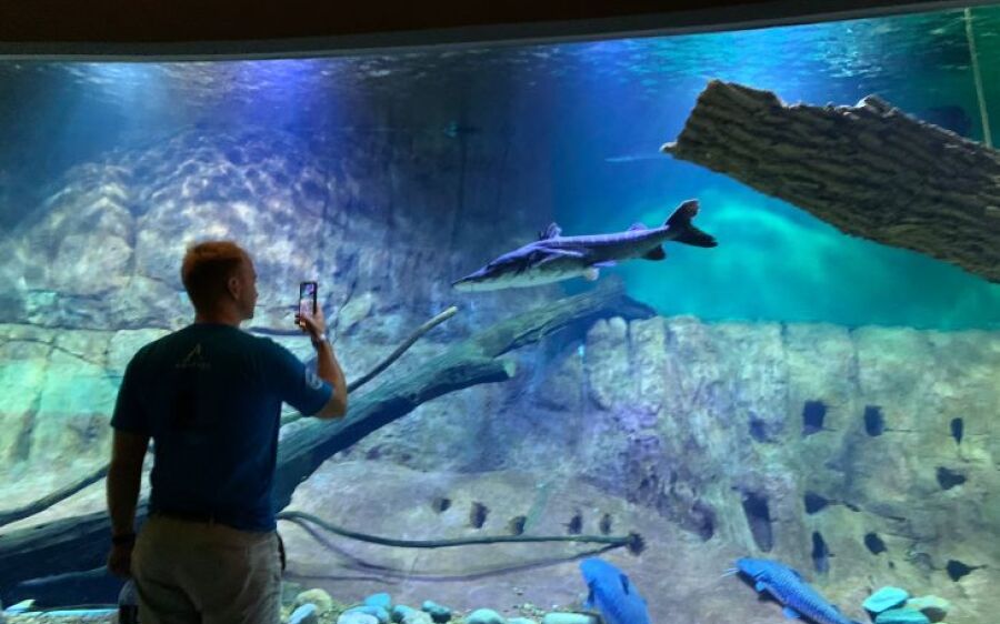 Aberto para turistas do mundo inteiro, Bioparque Pantanal recebeu visitantes de 75 países