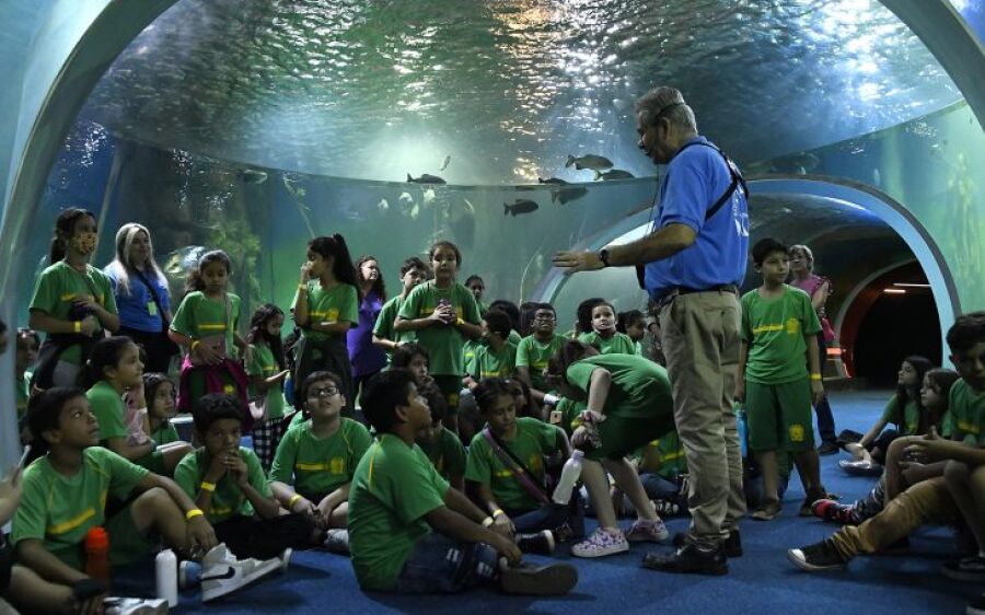 Agendamento para visitas escolares no Bioparque Pantanal tem início nesta quinta-feira