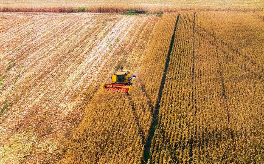 Safrinha de milho deve crescer 5,4% com desafio de melhorar a logística e elevar processamento do gr