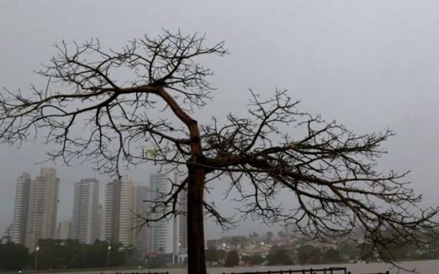 Chuvas fortes atingem cidades no sul e no leste de MS neste domingo