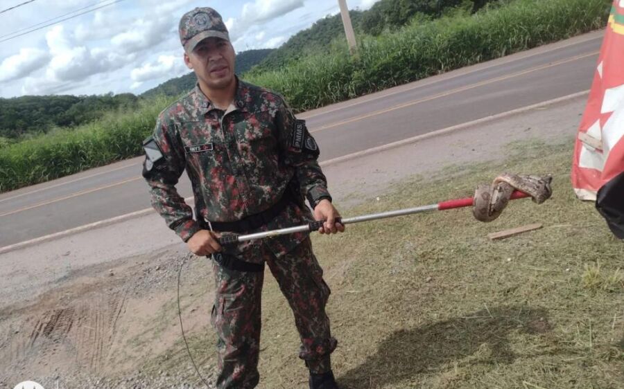 PMA de Corumbá é chamada para capturar duas jiboias em menos de duas horas
