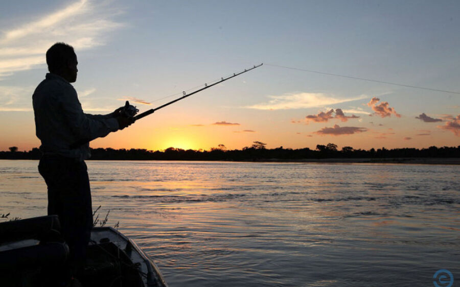 A partir de hoje está aberta a temporada de pesca em MS, confira as regras